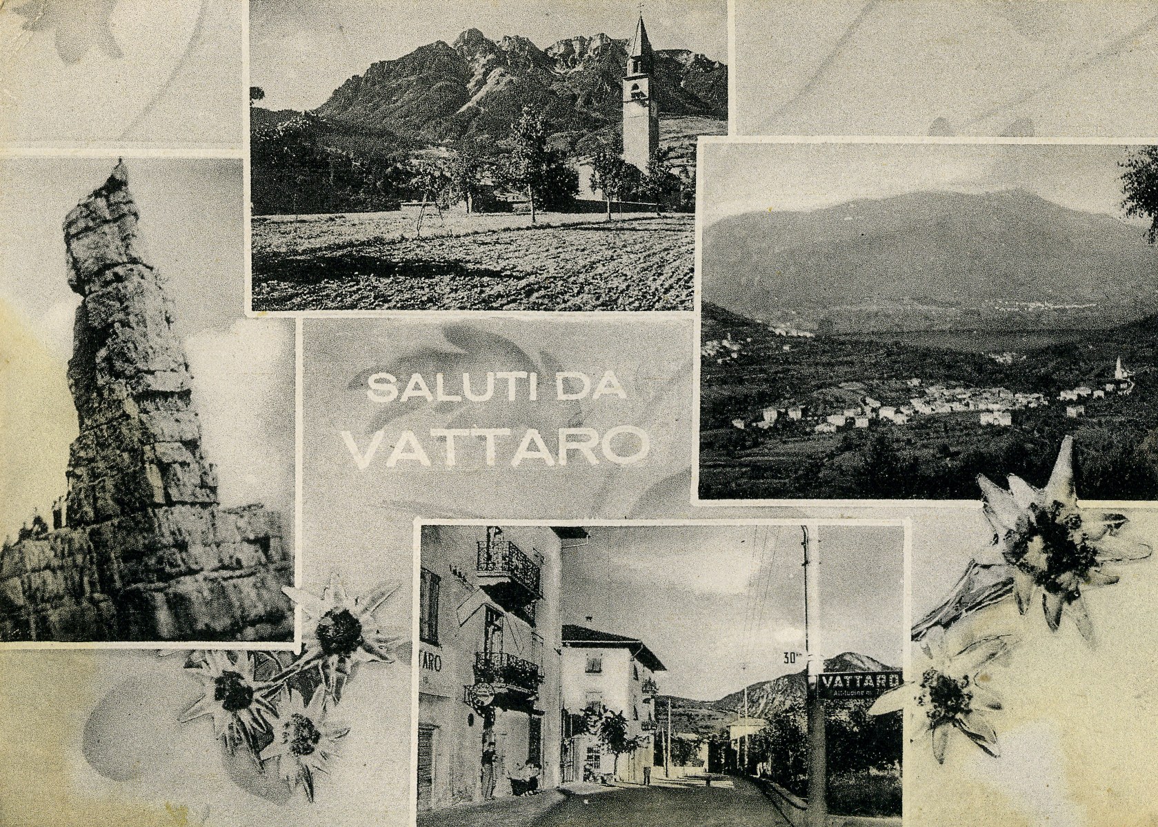 Cartolina